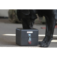 Detectionbox | Type 1